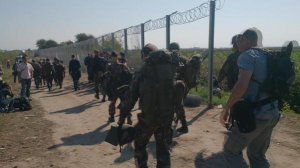 Угорщина розгортає збройні сили на кордоні з Сербією